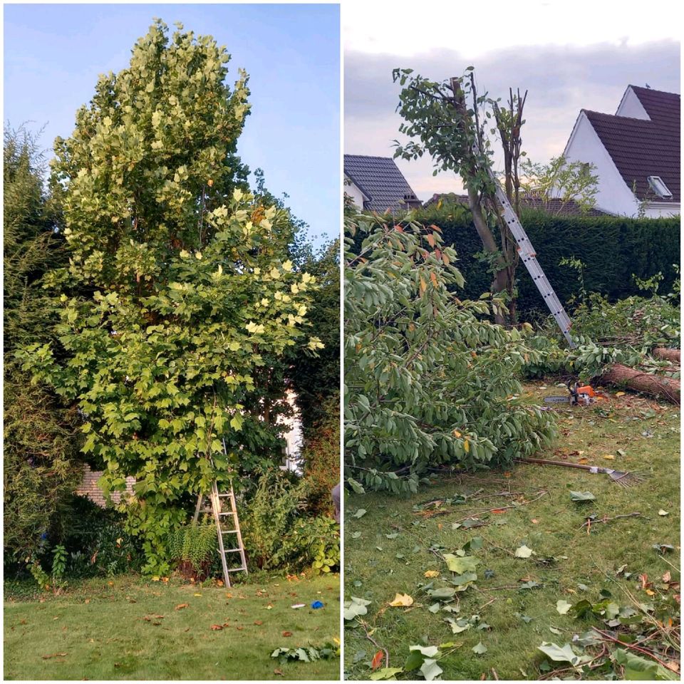 Wir bieten Gartenarbeit und komplette Grundreinigung an in Bielefeld