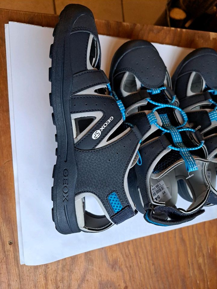 Nagelneu Geox Sandalen 36 im Originalkarton in Longuich