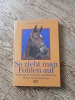 Buch So zieht man Fohlen auf Hessen - Schöneck Vorschau