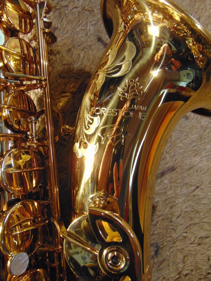 Tenor-Saxophon, Forestone FOTSGL-RX, PROFI, NEU, Bluespeter1 in Ladbergen