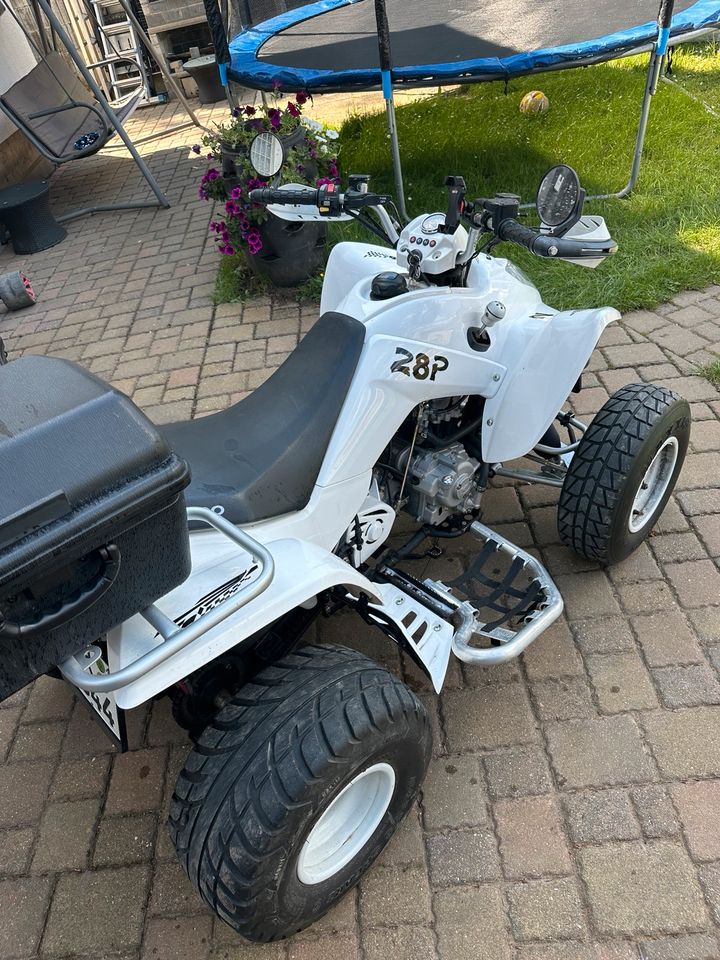 Quad Kymco Maxxer 300 in Puderbach