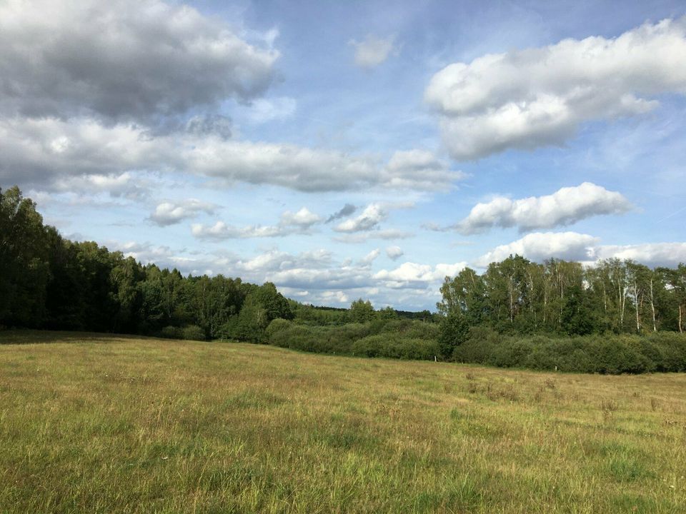 Suche Grundstück, Hof, Stall, auch ehem. Gewerbe in der Uckermark in Löwenberger Land-Nassenheide