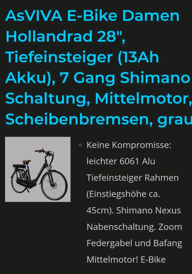 E Bike Ebike City Journal in Grünberg
