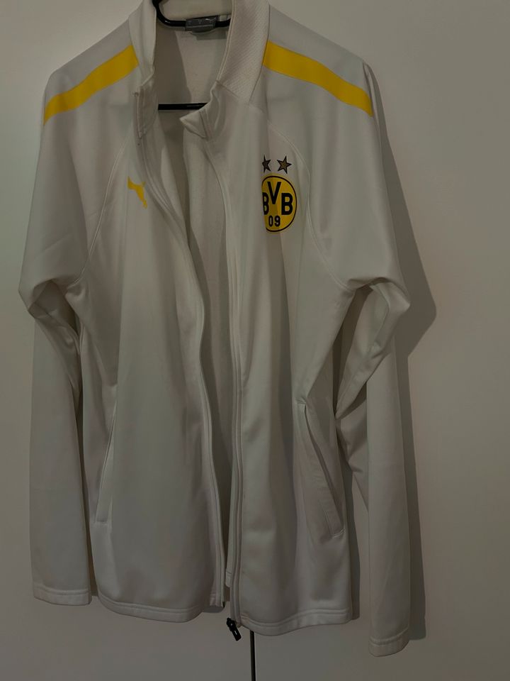 Borussia Dortmund Trainingsjacke in Mönchengladbach