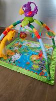 Spielbogen Rainforest von Fisher Price Hessen - Weilburg Vorschau