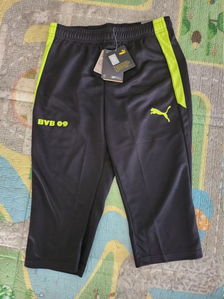 Puma BVB Borussia Dortmund 3/4 Hose Trainingshose Short Gr. 176 in Ensdorf