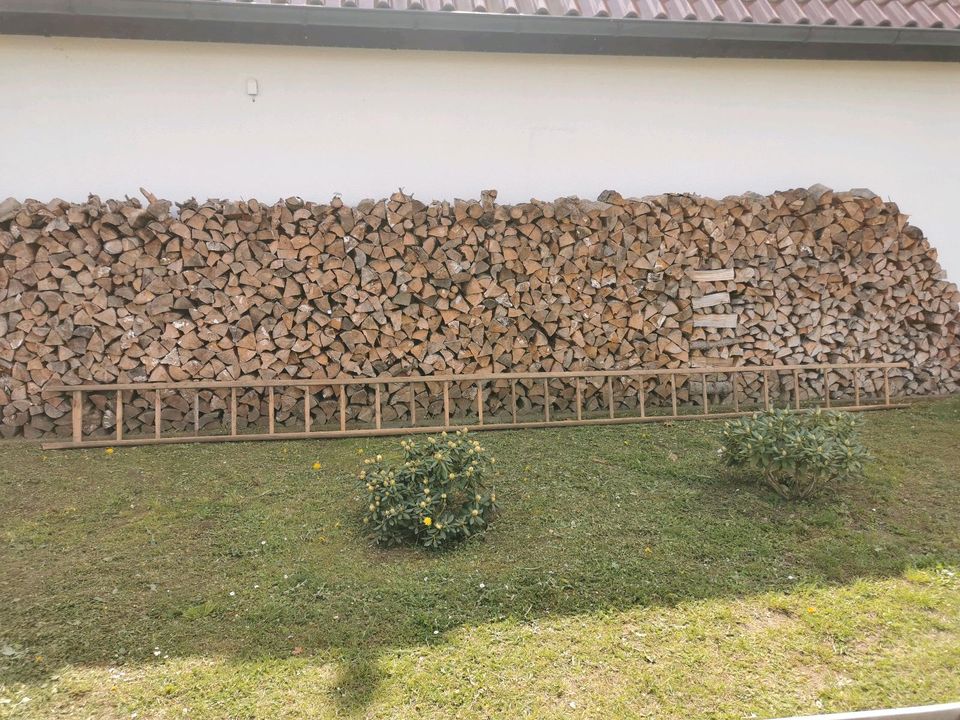 Holzleiter in Nünchritz