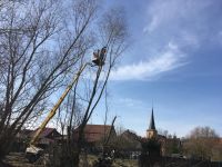 Rückschnitt/Fällung von Bäumen-Pflege/Verkehrssicherung Hebebühne Thüringen - Bad Colberg-Heldburg Vorschau