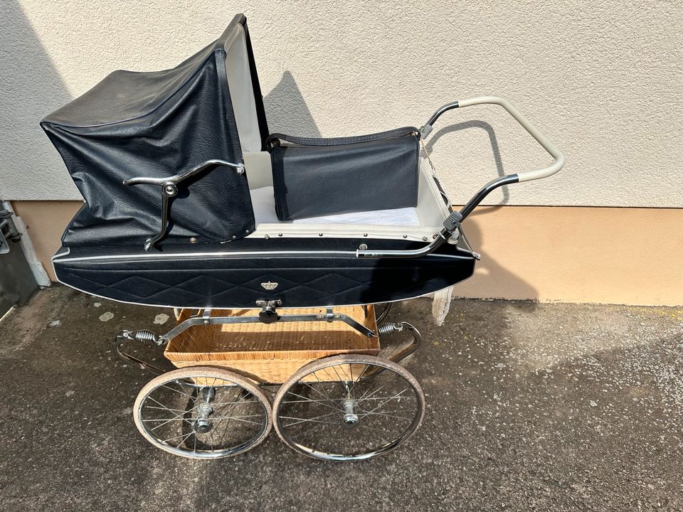 Van Delft Kinderwagen in Bad Langensalza