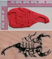 Stempel versch.  Insekten und Skorpion Bayern - Bamberg Vorschau