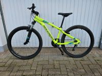 Fahrrad rockrider 26 zoll Nordrhein-Westfalen - Lügde Vorschau