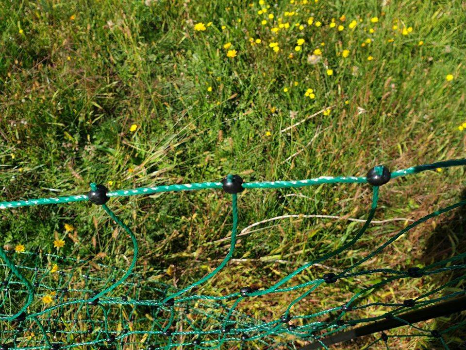 Mobiler Hühnerzauen in Dormagen