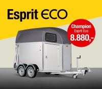 Böckmann Pferdeanhänger Champion Esprit Eco 100Km/h Aktionsmodell Schleswig-Holstein - Flensburg Vorschau