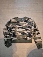 14 Damen Pullover -》Alle für 20€ Sachsen-Anhalt - Ballenstedt Vorschau
