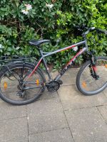 Fahrrad zum Verkaufen Niedersachsen - Lingen (Ems) Vorschau