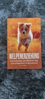 Hunde Buch Welpen Erziehung Training wie neu Schleswig-Holstein - Lasbek Vorschau