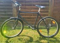 Mountainbike/MTB Fahrrad 26 Zoll Hessen - Rotenburg Vorschau