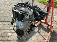 Ford Focus MK4 + Cmax 1.0 Ecoboost Motor 120/140 PS Neu Original Baden-Württemberg - Pfedelbach Vorschau