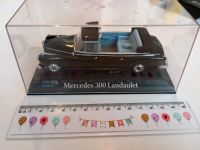 Auto Modell MB groß 300 Landautlet Niedersachsen - Jerxheim Vorschau