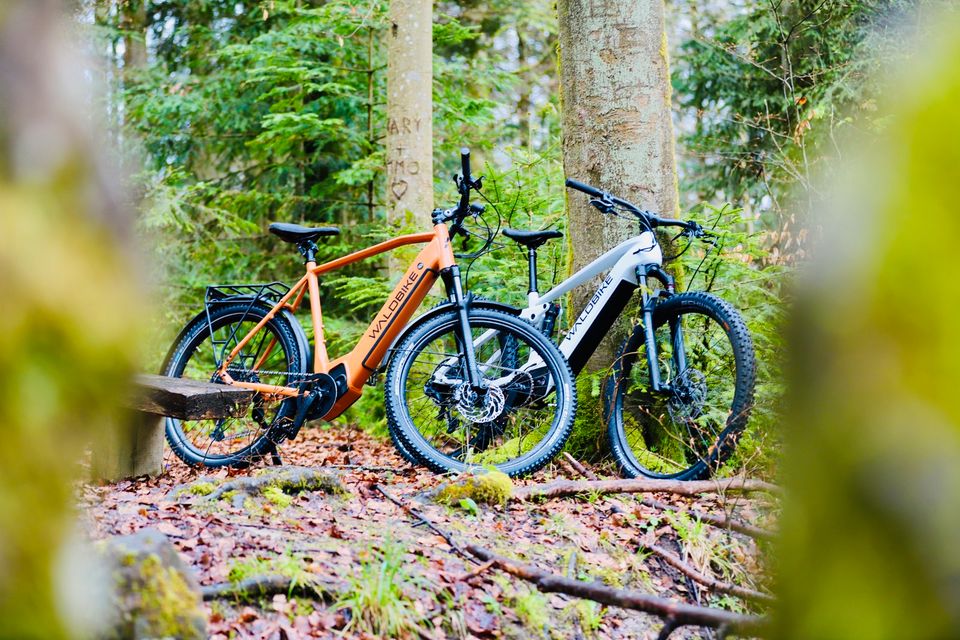 E-Bike/ Waldbike E-MTB QUERCUS SUV - CARBON FULLY/ porcini grey in Lünen