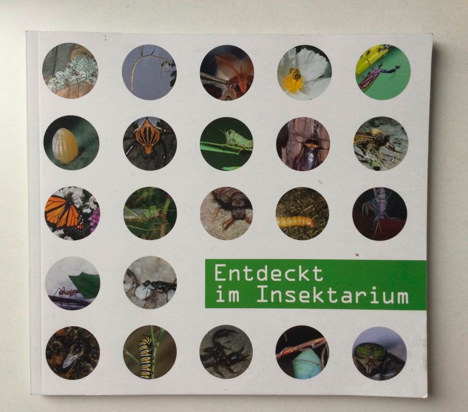 Entedeckt das Insektarium / Entdeckungsreise mit Riesenlibelle in Chemnitz