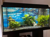 Aquarium Juwel Primo LED 110 Liter mit Besatz und Zubehör Bayern - Geisenhausen Vorschau