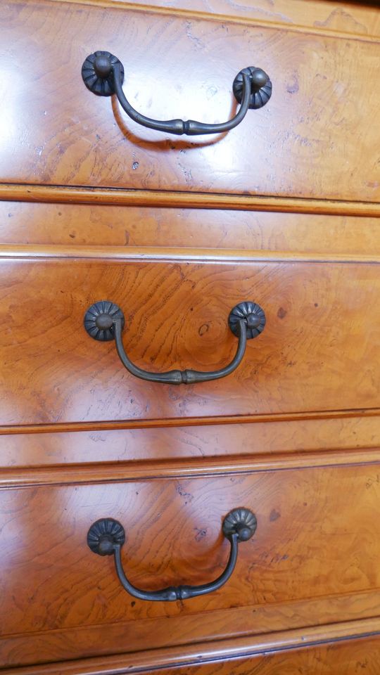 Vitrinenschrank aus Olivenholz im Biedermeier-Stil in Kleve