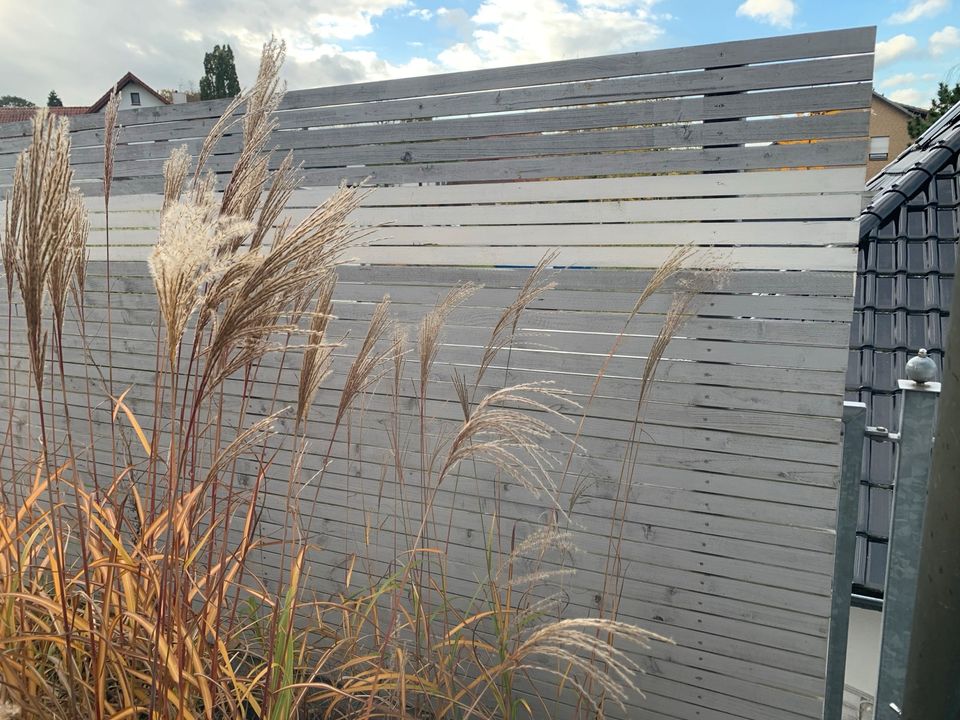 3 Sichtschutz-Elemente aus Holz für Garten, Terrasse, Balkon in Bad Oeynhausen