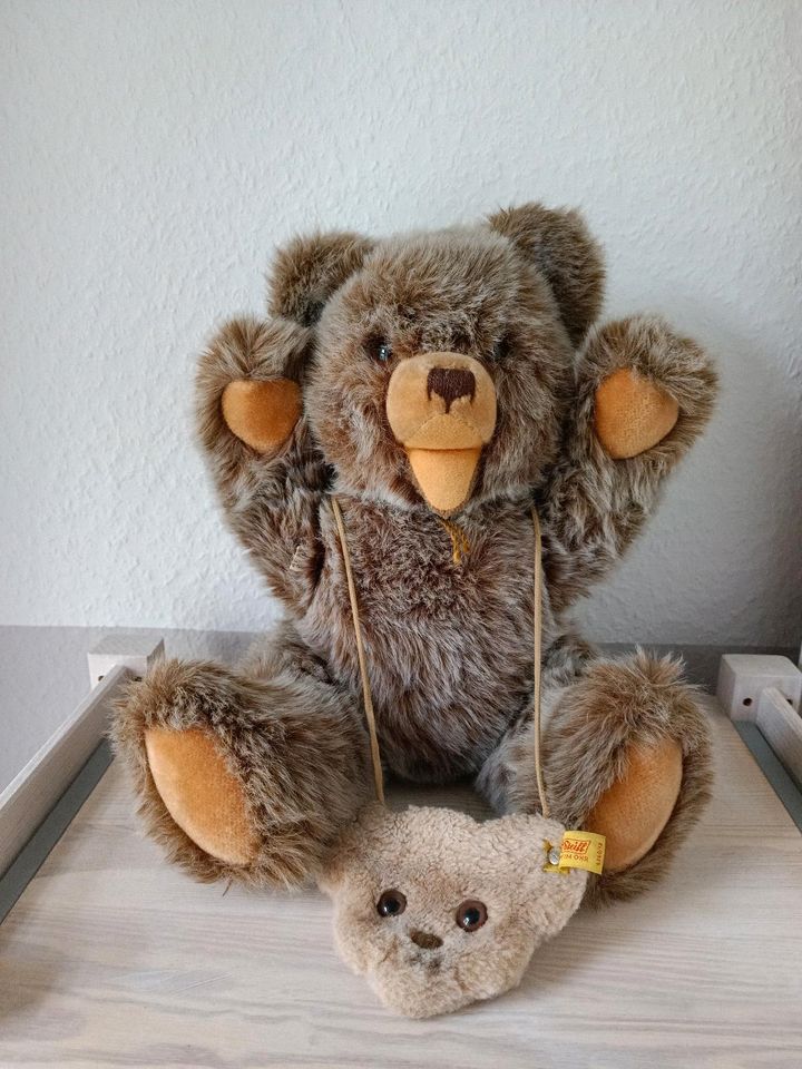 Steiff Teddybär in Essen