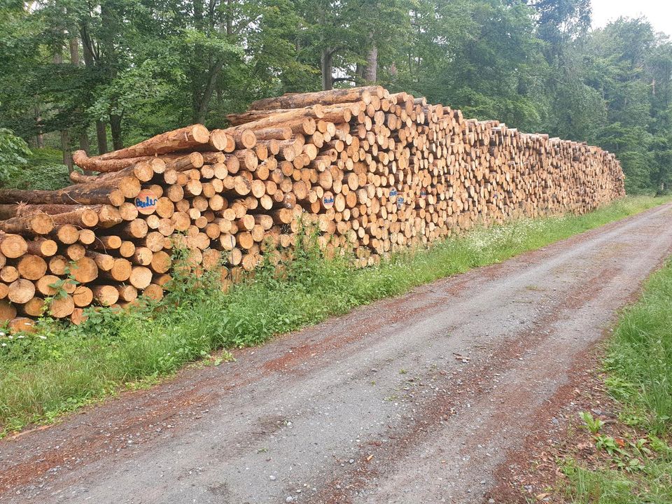 Stammholz Rundholz Brennholz Kiefer Buche Eiche etc.mit Lieferung in Alzey