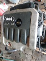 Audi a3 p8 Motor  6 Gang  Diesel 140 ps ohne Getriebe Bayern - Grafenwöhr Vorschau