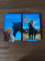 ★ Ostwind Bücher ★ Stuttgart - Birkach Vorschau