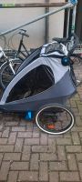 Fahrradanhänger/Buggy/Jogger von BabyOne Berlin - Niederschönhausen Vorschau