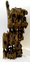 XL Drachenholz Ant Wood Termitenholz Aquarium ab 24,90 €* Bayern - Velburg Vorschau