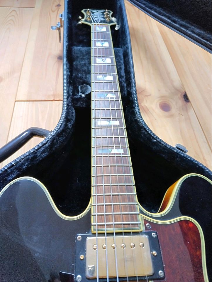 Epiphone Sheraton II mit Hartschalenkoffer in Duisburg