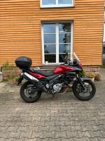 Suzuki v-Strom 650 Rheinland-Pfalz - Hetzerath (Mosel) Vorschau