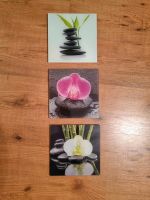 3x Acrylglasbild Bambus Orchideen München - Ramersdorf-Perlach Vorschau