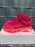 Nike Air Zoom G.T. Jump 2 US 14 Gr. 48,5 Rot Basketball Schuhe Schleswig-Holstein - Westerrönfeld Vorschau