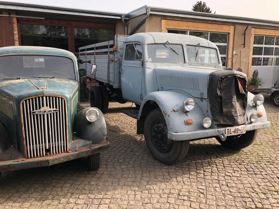 Opel Blitz 3,6 to Bj. 1942 WW II in Dresden