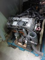 Motor Mercedes Vito Viano 2.2 CDI 646.982 - Komplett Brandenburg - Blankenfelde-Mahlow Vorschau