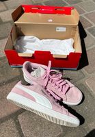 Puma - Sneaker - pink / rosa - Größe 40,5 - wie Neu Nordrhein-Westfalen - Mönchengladbach Vorschau