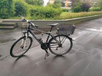 Rixe Fahrrad 28 Zoll München - Sendling-Westpark Vorschau