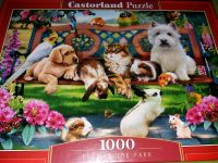 Puzzle Castorland.Pets in the Park.1000 Teile Berlin - Tempelhof Vorschau