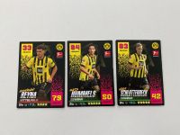 BVB Bundesliga Karten je Karte 0,50 Euro Baden-Württemberg - Baindt Vorschau