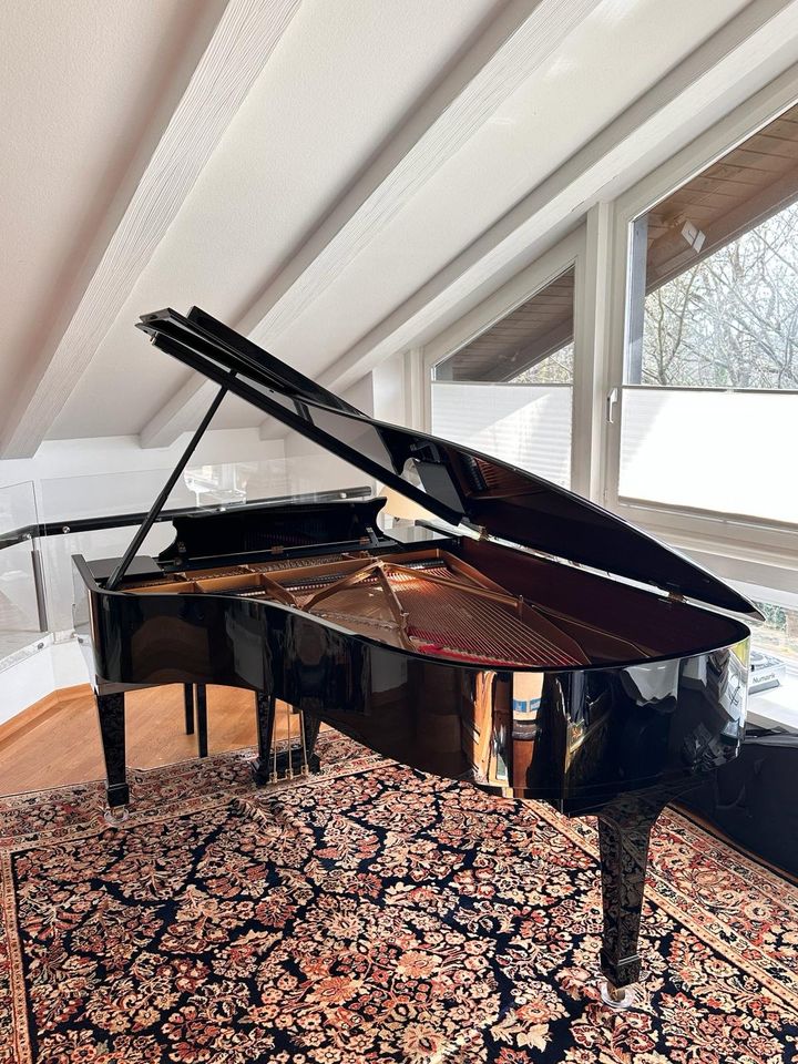 STEINWAY & SONS Flügel, Modell B-211, Piano, Konzert-Flügel in Bad Homburg