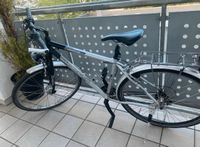 Herrenfahrrad 28 Zoll Sachsen - Chemnitz Vorschau