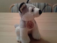 Husky von Uni -Toys Germany 20 cm Hessen - Wolfhagen  Vorschau