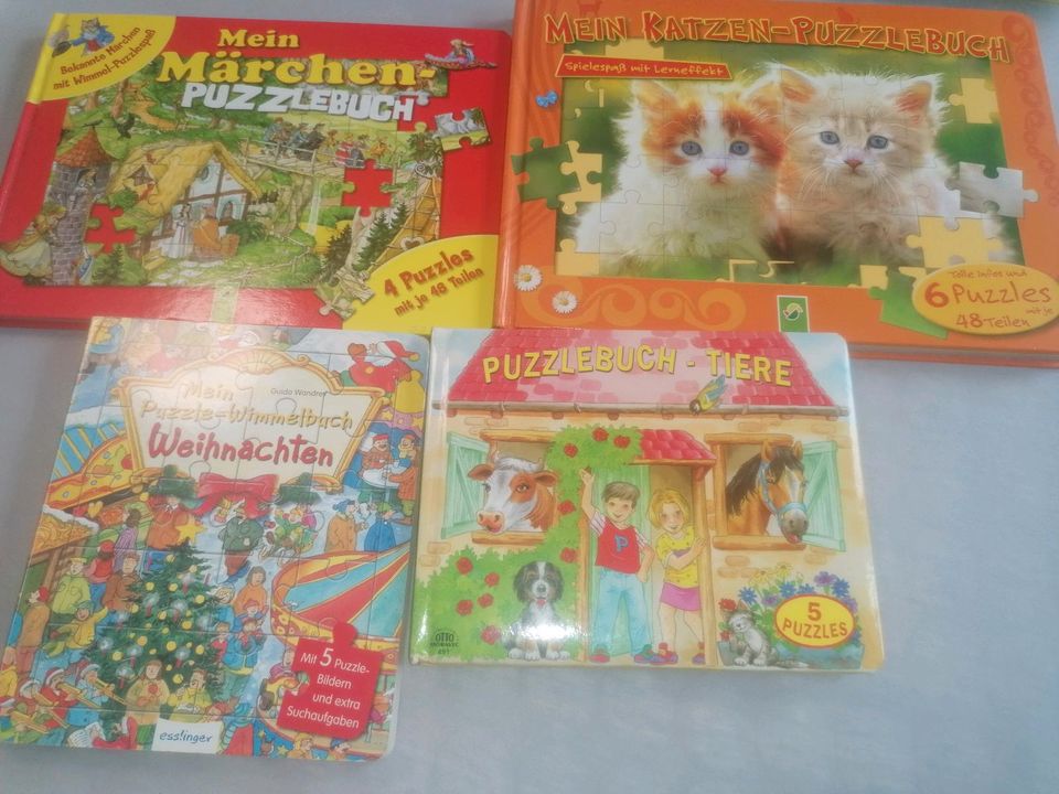 XXL Spielzeug Bücher Paket Haba brettspiel puzzle soundbuch 2,3,4 in Eichwalde