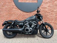 Harley-Davidson Nightster RH975 Sportster *sofort* Niedersachsen - Osnabrück Vorschau