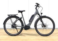 Falter E 9.8 FL 725 PLUS, ABS, 180 kg, 725Wh, Enviolo Autom., NEU Bayern - Realsmühle Vorschau